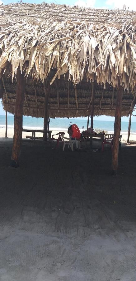 Manzanillo