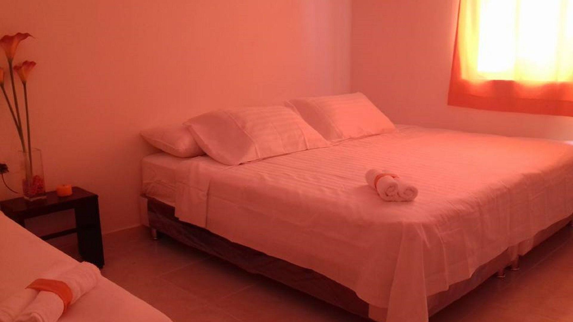 Manzanillo Hotel