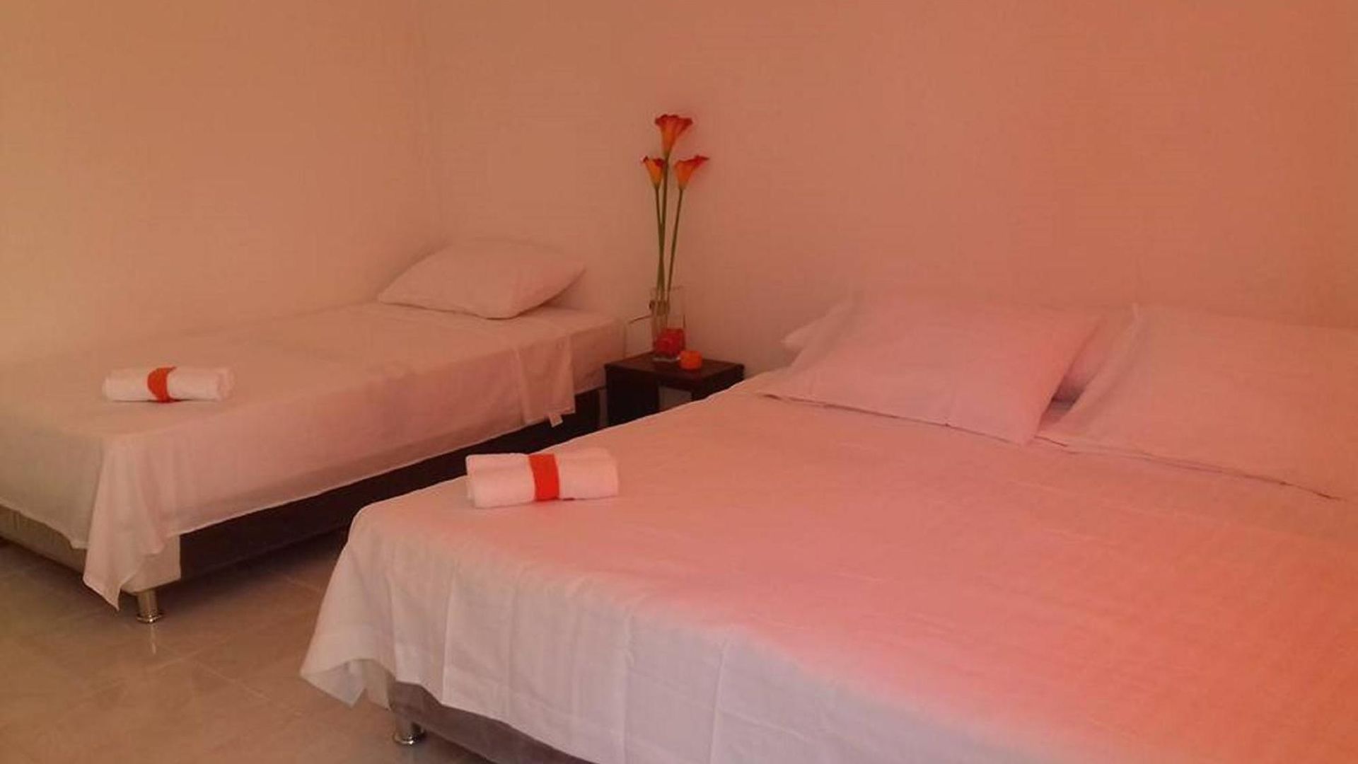 Hotel Manzanillo 2*